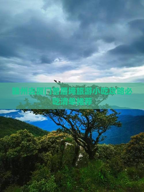 赣州去厦门曾厝埯旅游小吃