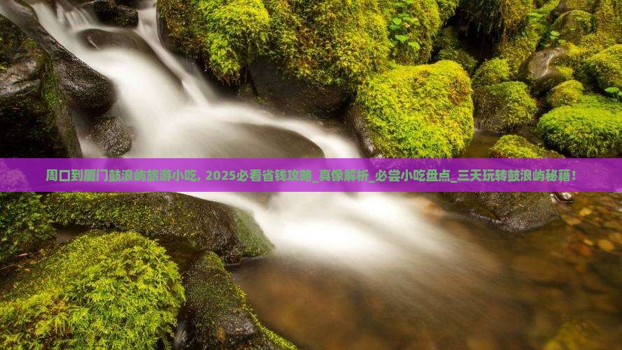 周口到厦门鼓浪屿旅游小吃