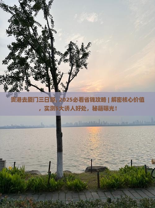 贵港去厦门三日游