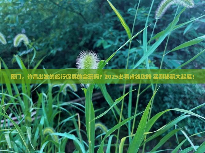 许昌去厦门攻略