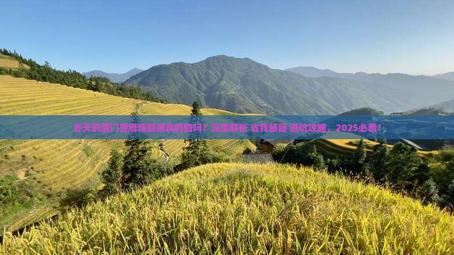冬天到厦门曾厝埯旅游 冬天到厦门曾厝埯旅游