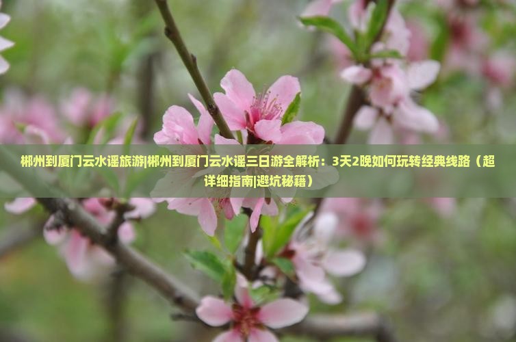 郴州到厦门云水谣旅游