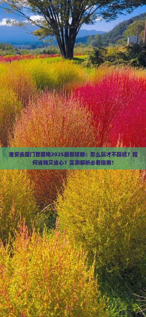 淮安去厦门曾厝埯攻略