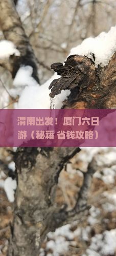 渭南去厦门六日游