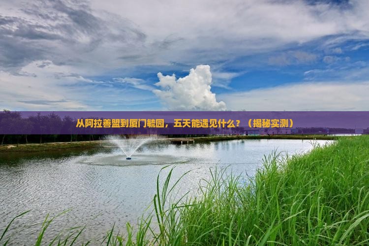 阿拉善盟去厦门毓园五日游