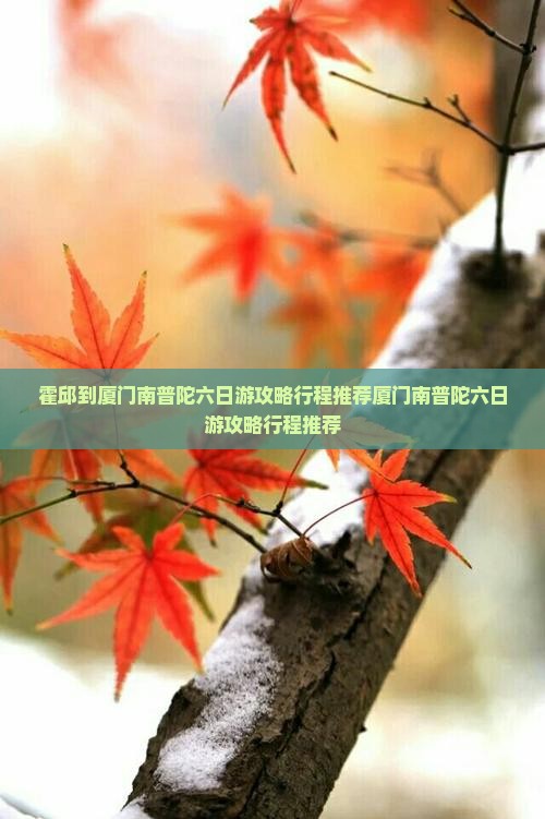 霍邱到厦门南普陀六日游