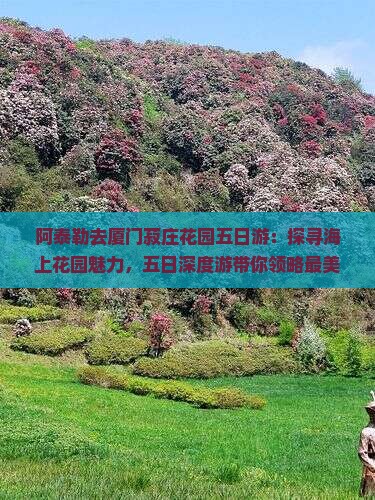 阿泰勒去厦门菽庄花园五日游
