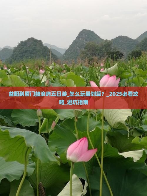 益阳到厦门鼓浪屿五日游