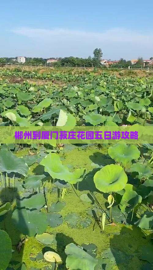 郴州到厦门菽庄花园五日游