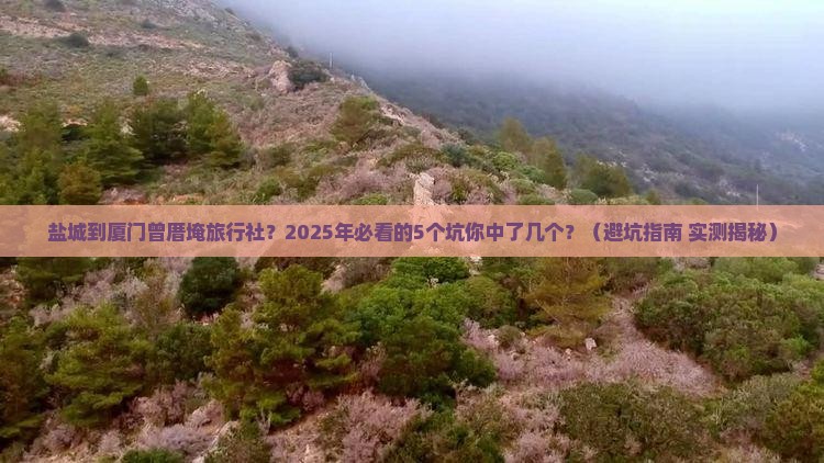 盐城到厦门曾厝埯旅行社