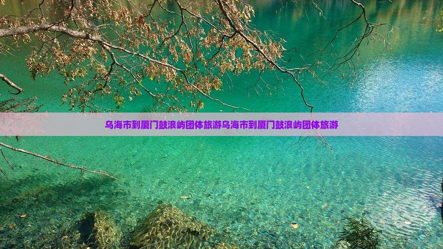 乌海市到厦门鼓浪屿团体旅游