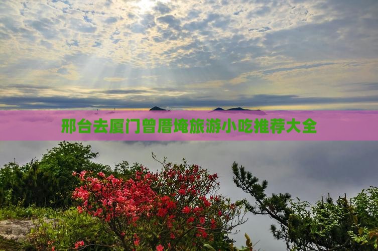邢台去厦门曾厝埯旅游小吃