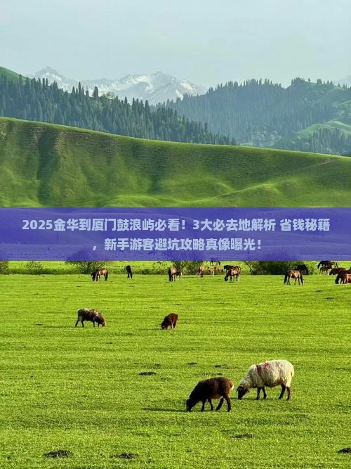 金华到厦门鼓浪屿必去地