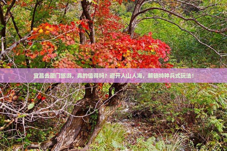 宜昌去厦门旅游