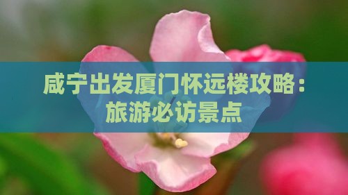 咸宁到厦门怀远楼攻略