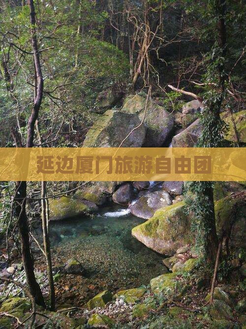 延边去厦门自由团