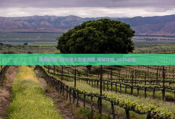 聊城到厦门怀远楼大型旅游团