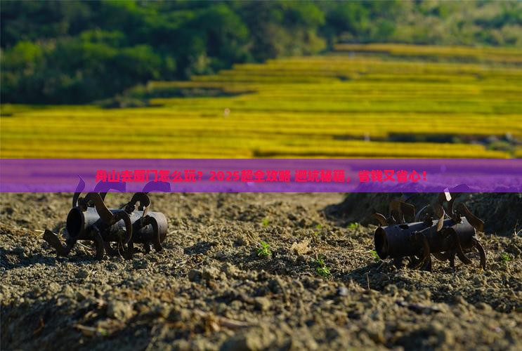舟山去厦门旅行社