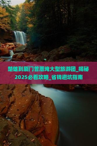 楚雄到厦门曾厝埯大型旅游团