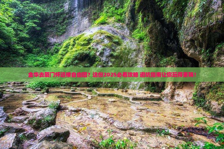 金华去厦门怀远楼自由团