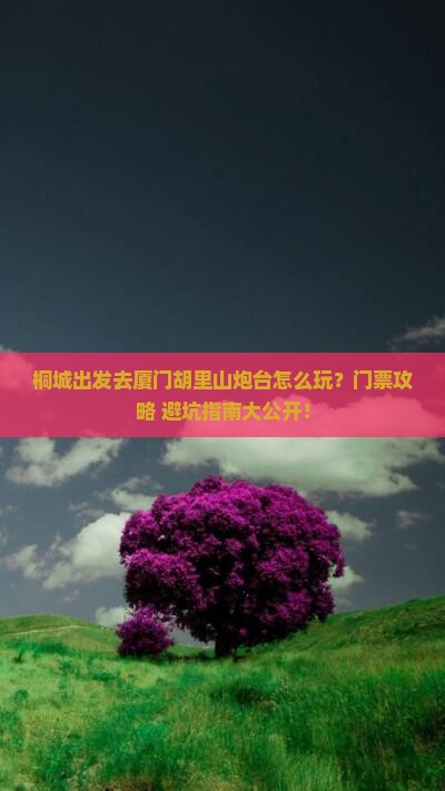 桐城去厦门胡里山炮台门票