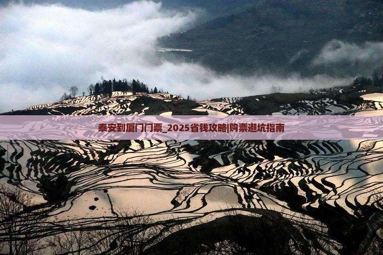 泰安到厦门门票