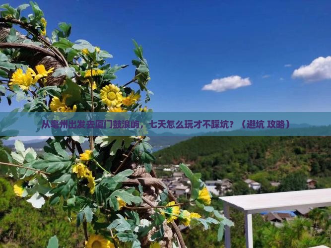 亳州去厦门鼓浪屿七日游