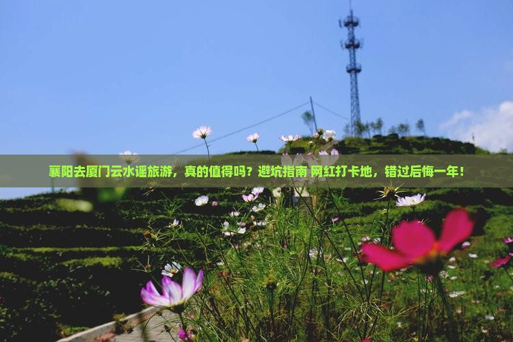 襄阳去厦门云水谣旅游