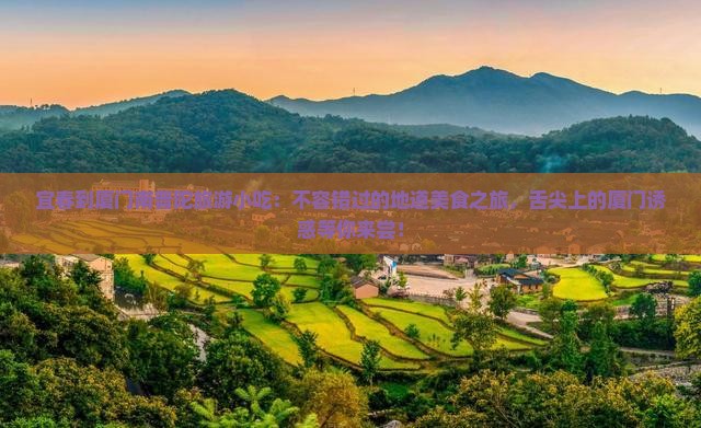 宜春到厦门南普陀旅游小吃