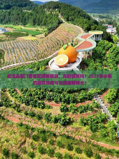 武汉去厦门南普陀团体旅游