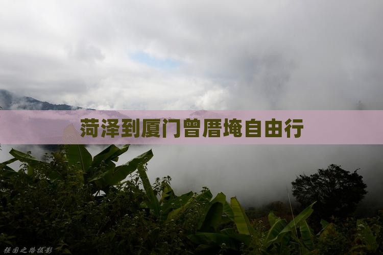 菏泽到厦门曾厝埯自由行