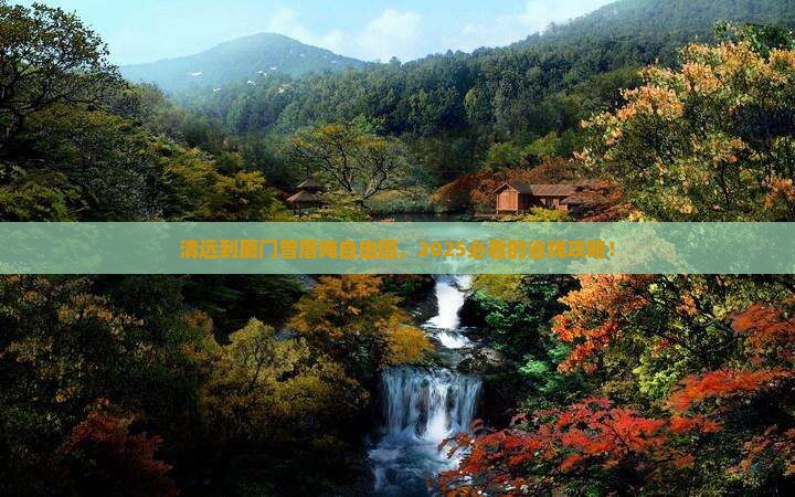 清远到厦门曾厝埯自由团