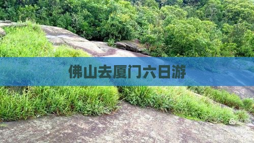佛山去厦门六日游
