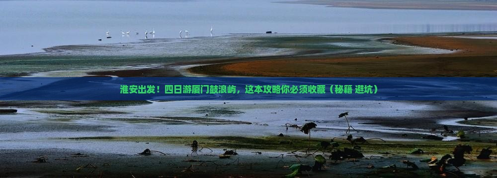 淮安到厦门鼓浪屿四日游