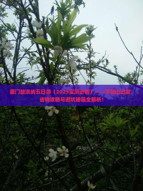 平顶山到厦门鼓浪屿五日游