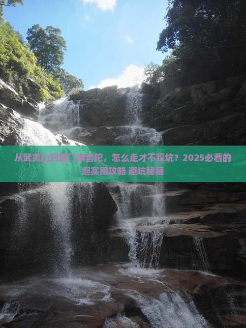 武夷山去厦门南普陀攻略