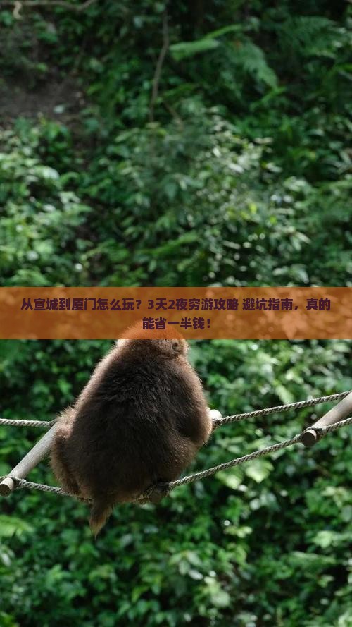 宣城到厦门旅游