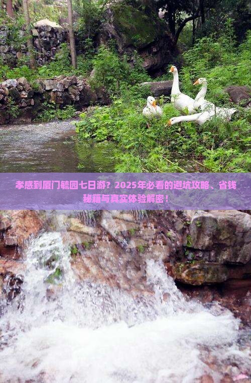 孝感到厦门毓园七日游