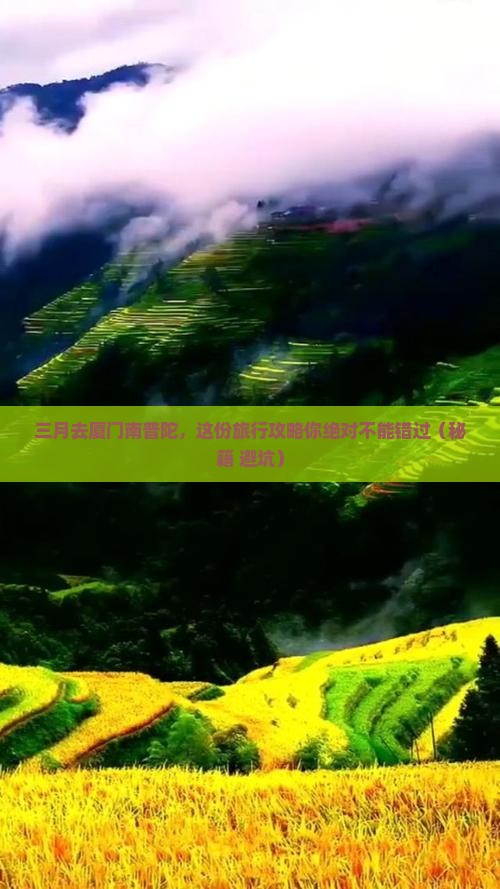 三月去厦门南普陀团体旅游