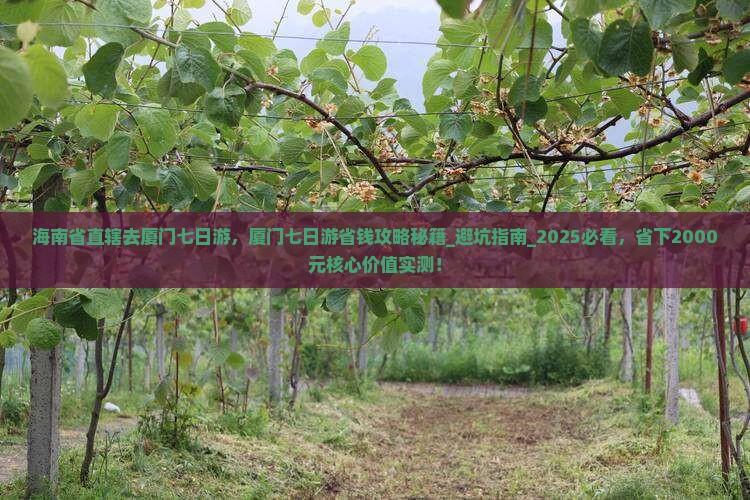 海南省直辖去厦门七日游