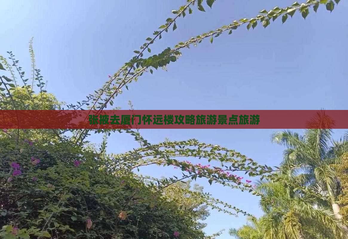 张掖去厦门怀远楼旅行社