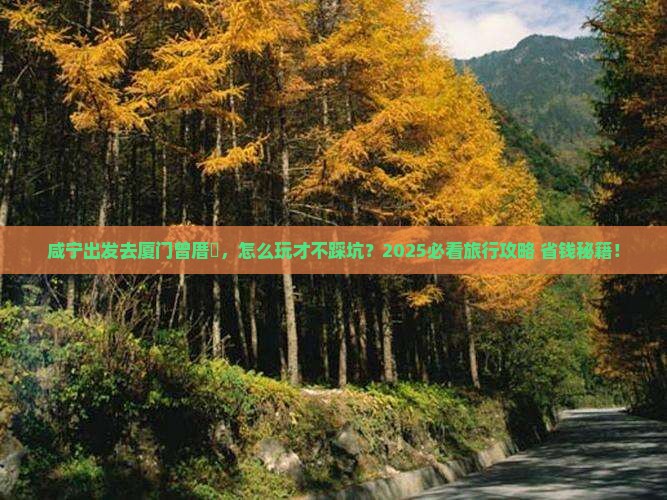 咸宁到厦门曾厝埯旅行社