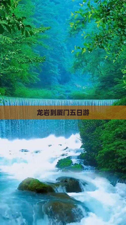 龙岩到厦门五日游