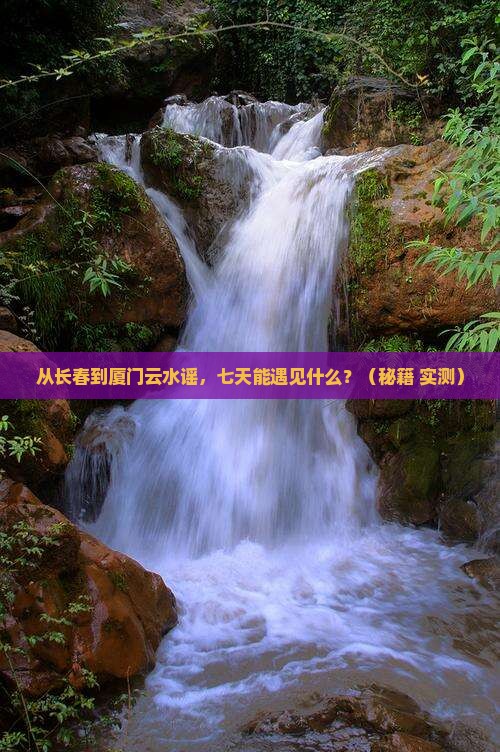 长春到厦门云水谣七日游