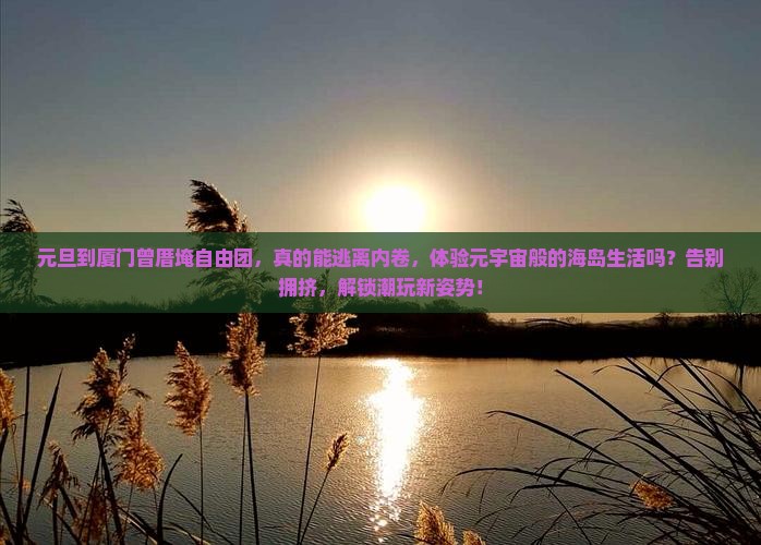 元旦到厦门曾厝埯自由团