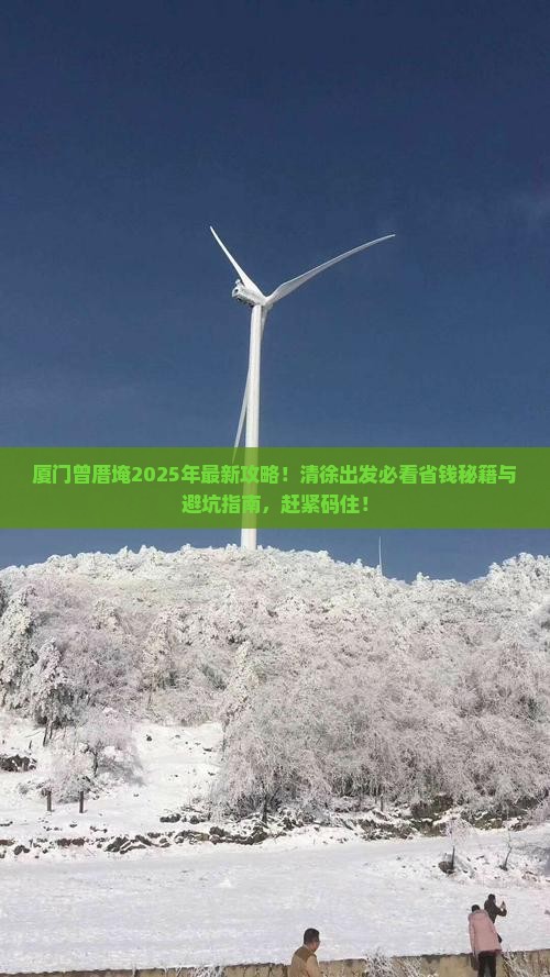 清徐到厦门曾厝埯旅游