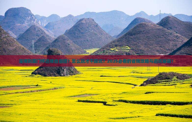 淄博到厦门怀远楼自由团