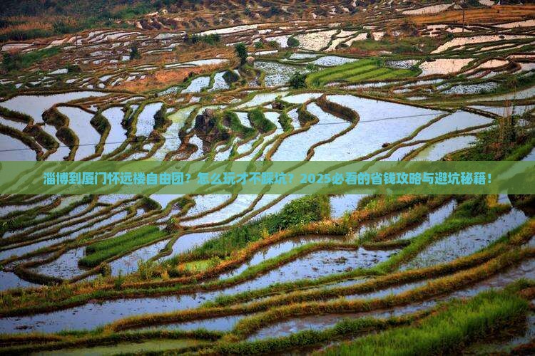 淄博到厦门怀远楼自由团