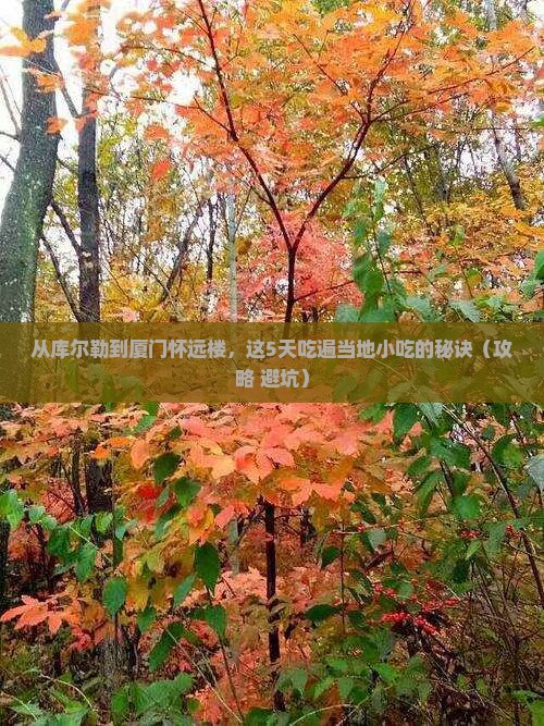 库尔勒去厦门怀远楼旅游小吃