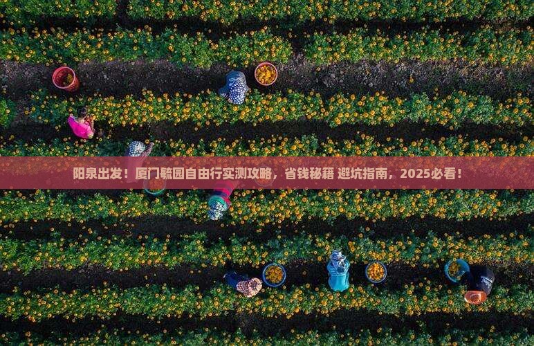 阳泉去厦门毓园自由行